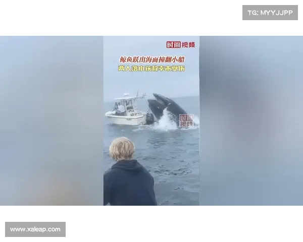3 岁弟弟玩耍时推哥哥落水,幸水沟浅未受伤 3 岁弟弟玩耍时推哥哥落水,幸水沟浅未受伤